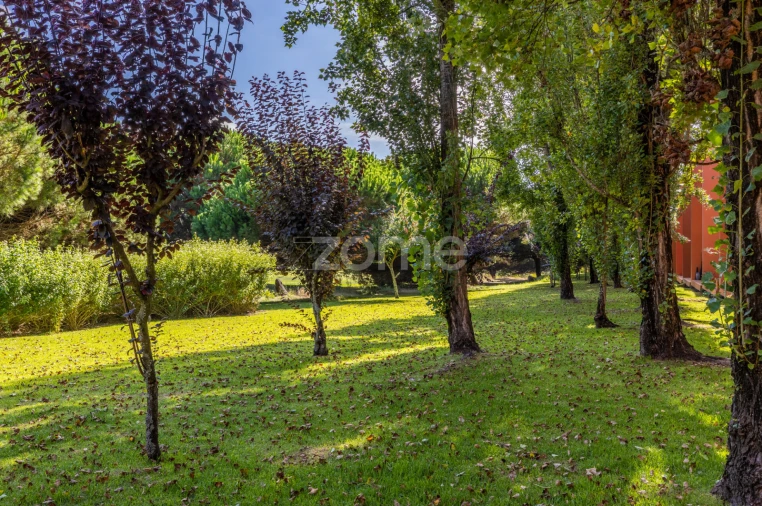Moradia T2 para Venda em Vau Foto 17