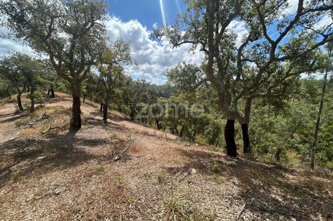 Terreno para Venda em Grândola e Santa Margarida da Serra Foto 6