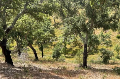 Terreno para Venda em Grândola e Santa Margarida da Serra