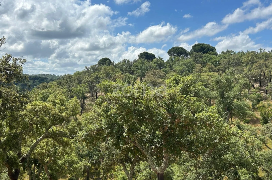 Terreno para Venda em Grândola e Santa Margarida da Serra Foto 3