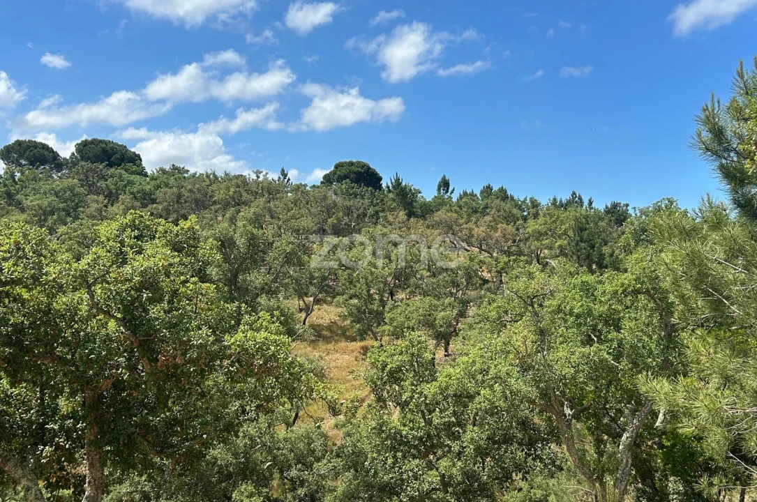 Terreno para Venda em Grândola e Santa Margarida da Serra Foto 1
