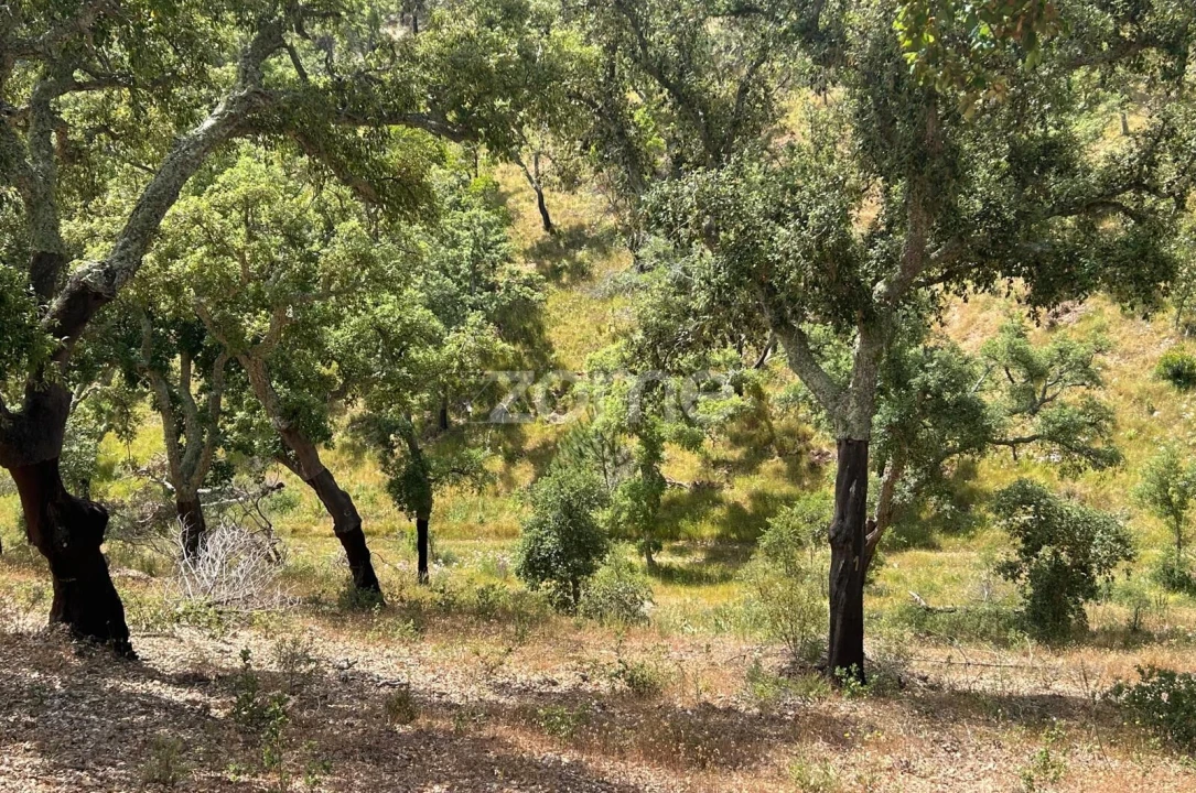 Terreno para Venda em Grândola e Santa Margarida da Serra Foto 4