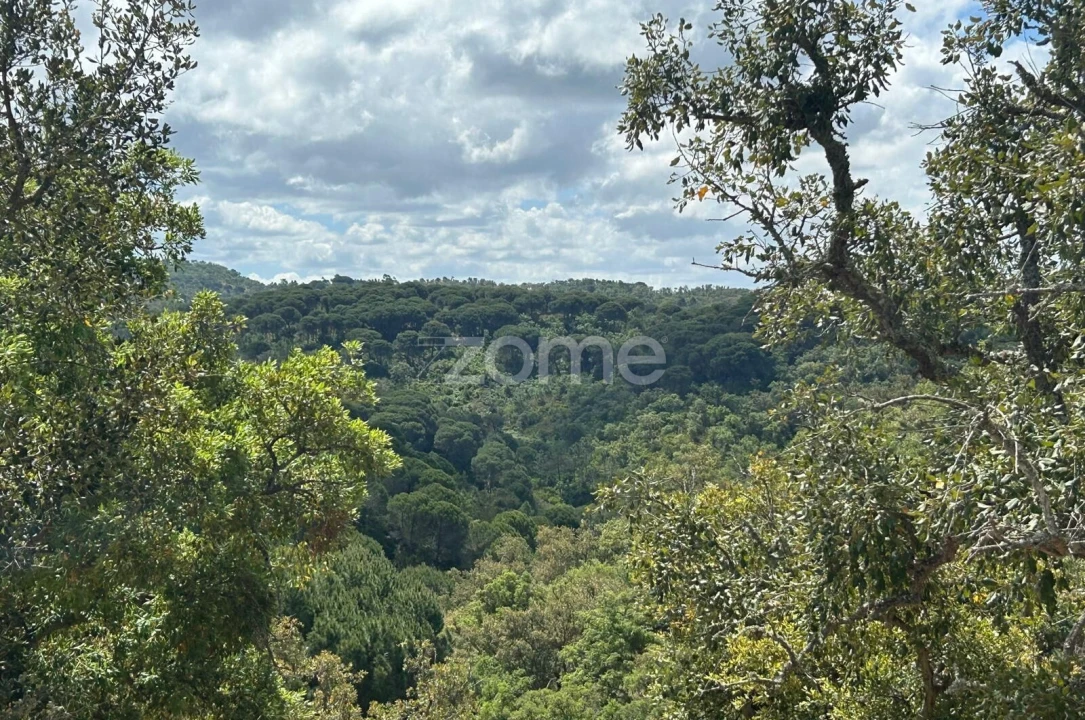 Terreno para Venda em Grândola e Santa Margarida da Serra Foto 2