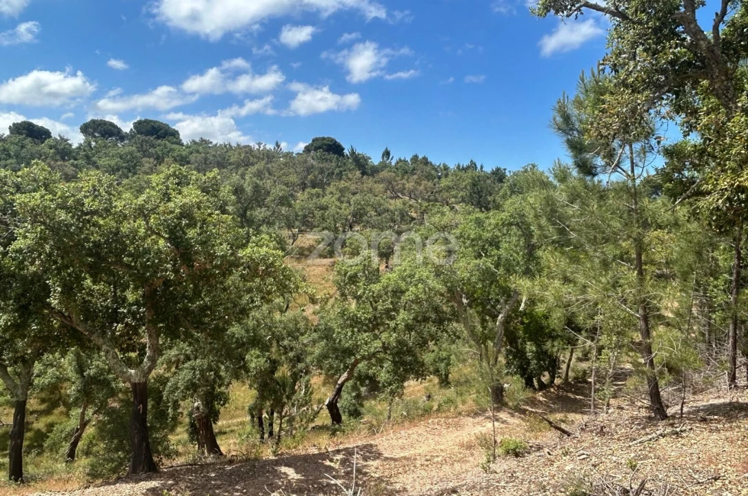 Terreno para Venda em Grândola e Santa Margarida da Serra Foto 8