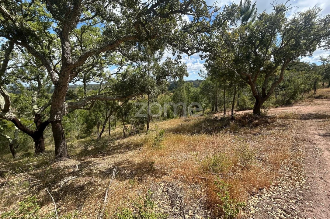 Terreno para Venda em Grândola e Santa Margarida da Serra Foto 9