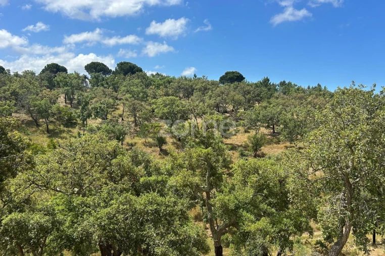 Terreno para Venda em Grândola e Santa Margarida da Serra Foto 10