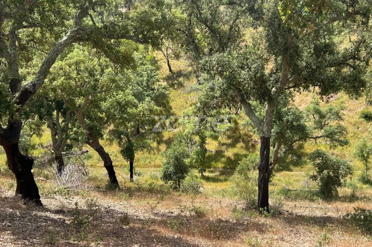 Terreno para Venda em Grândola e Santa Margarida da Serra Foto 4