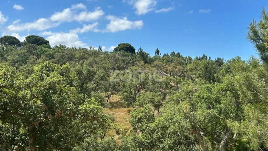 Terreno para Venda em Grândola e Santa Margarida da Serra