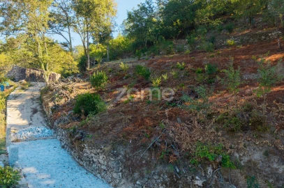 Moradia T1 para Venda em Cabril
