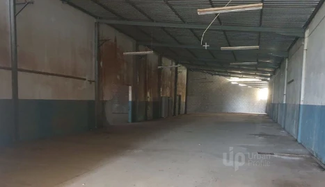 Armazém para Arrendamento em Juncal