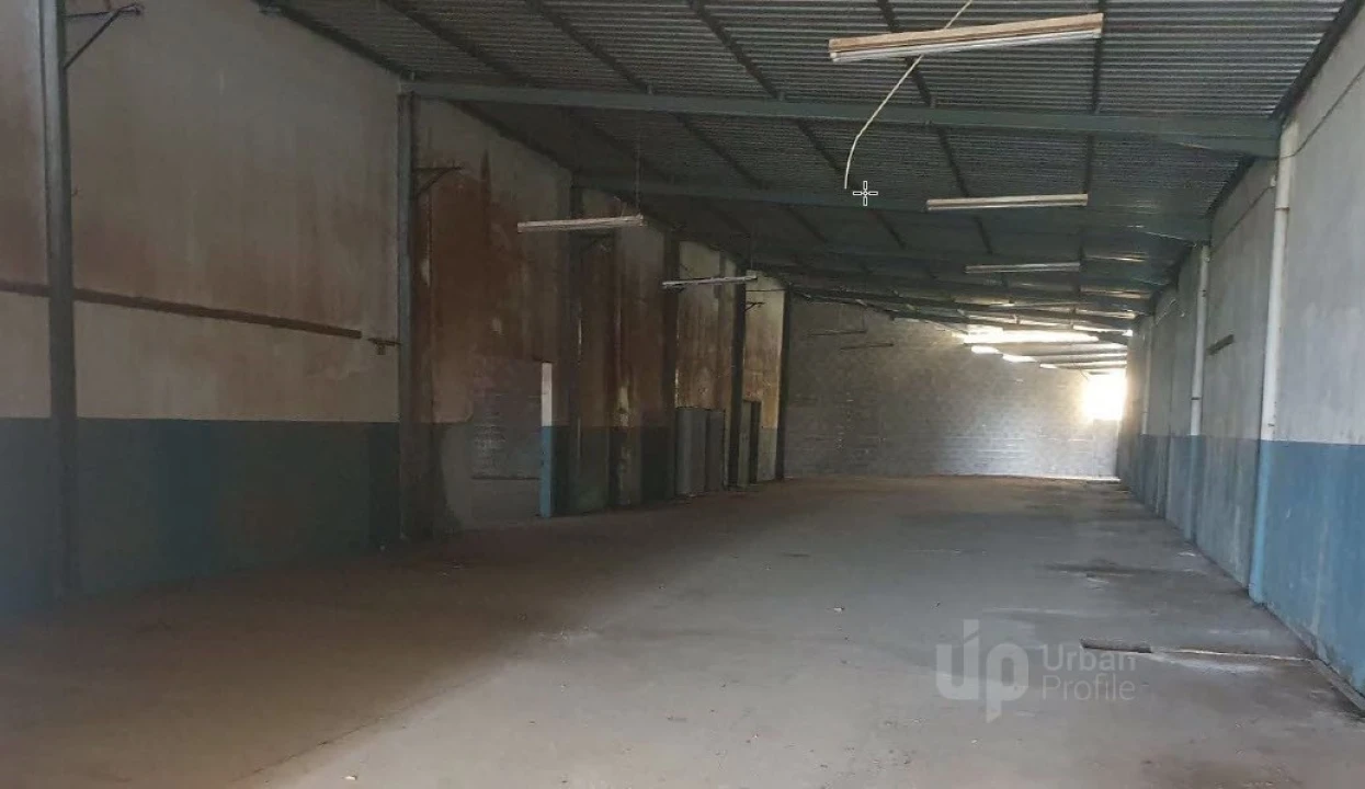 Armazém para Venda em Juncal Foto 7