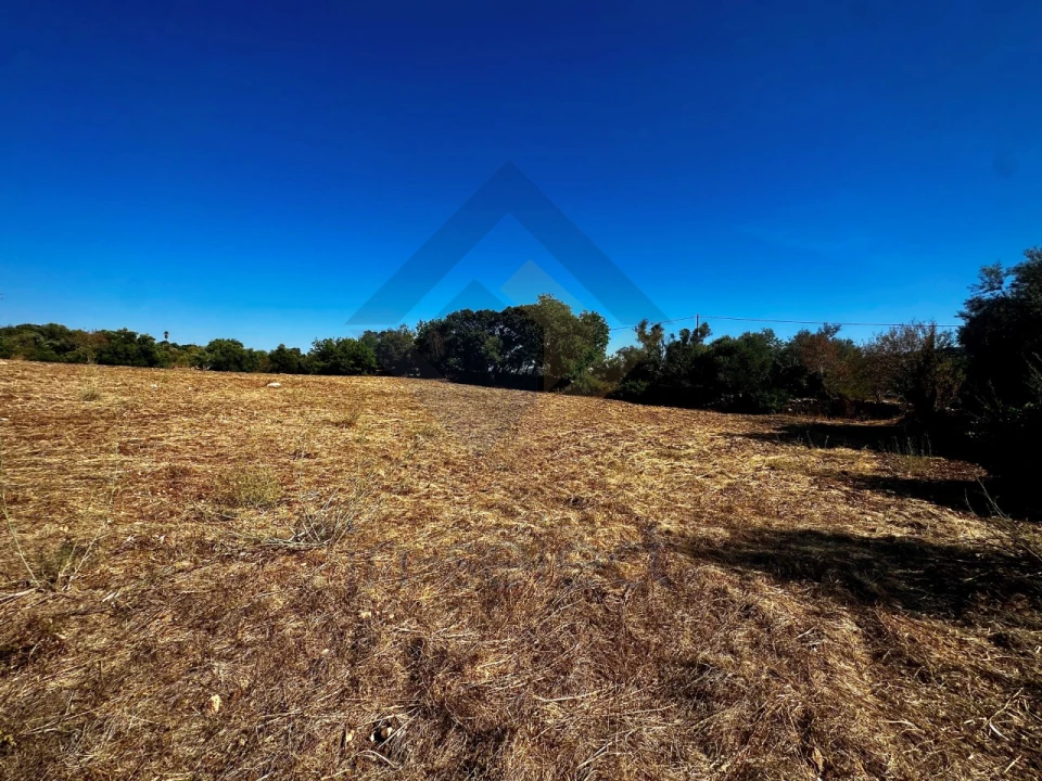 Terreno Agricola ou Rústico para Venda em São Brás de Alportel Foto 9