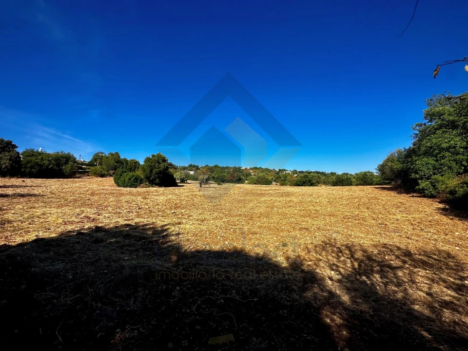 Terreno Agricola ou Rústico para Venda em São Brás de Alportel Foto 12