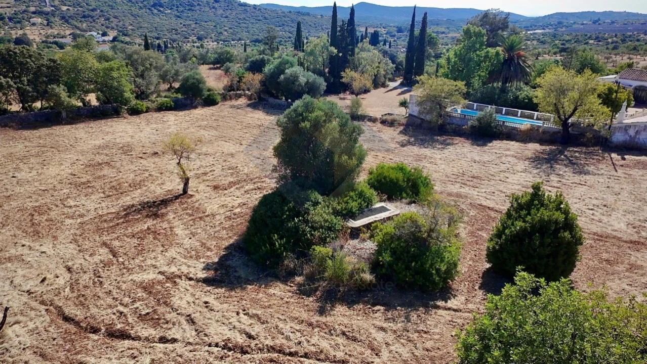 Terreno Agricola ou Rústico para Venda em São Brás de Alportel Foto 4
