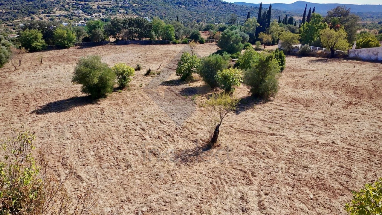 Terreno Agricola ou Rústico para Venda em São Brás de Alportel Foto 5