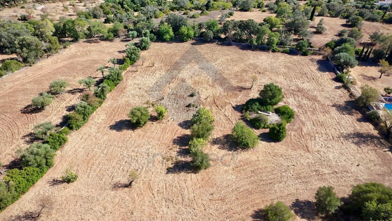 Terreno Agricola ou Rústico para Venda em São Brás de Alportel Foto 8