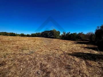 Terreno Agricola ou Rústico para Venda em São Brás de Alportel
