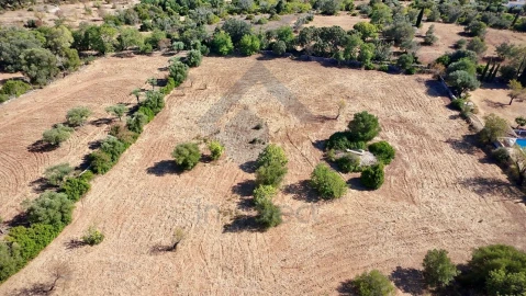 Terreno Agricola ou Rústico para Venda em São Brás de Alportel
