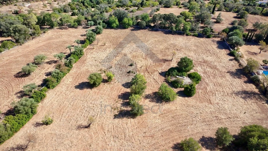 Terreno Agricola ou Rústico para Venda em São Brás de Alportel Foto 8