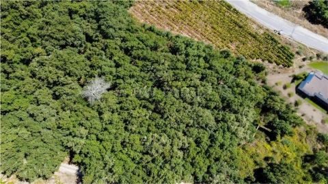 Quinta T0 para Venda em Santa Marinha do Zezere