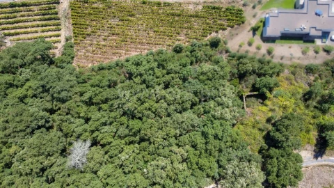 Quinta T0 para Venda em Santa Marinha do Zezere