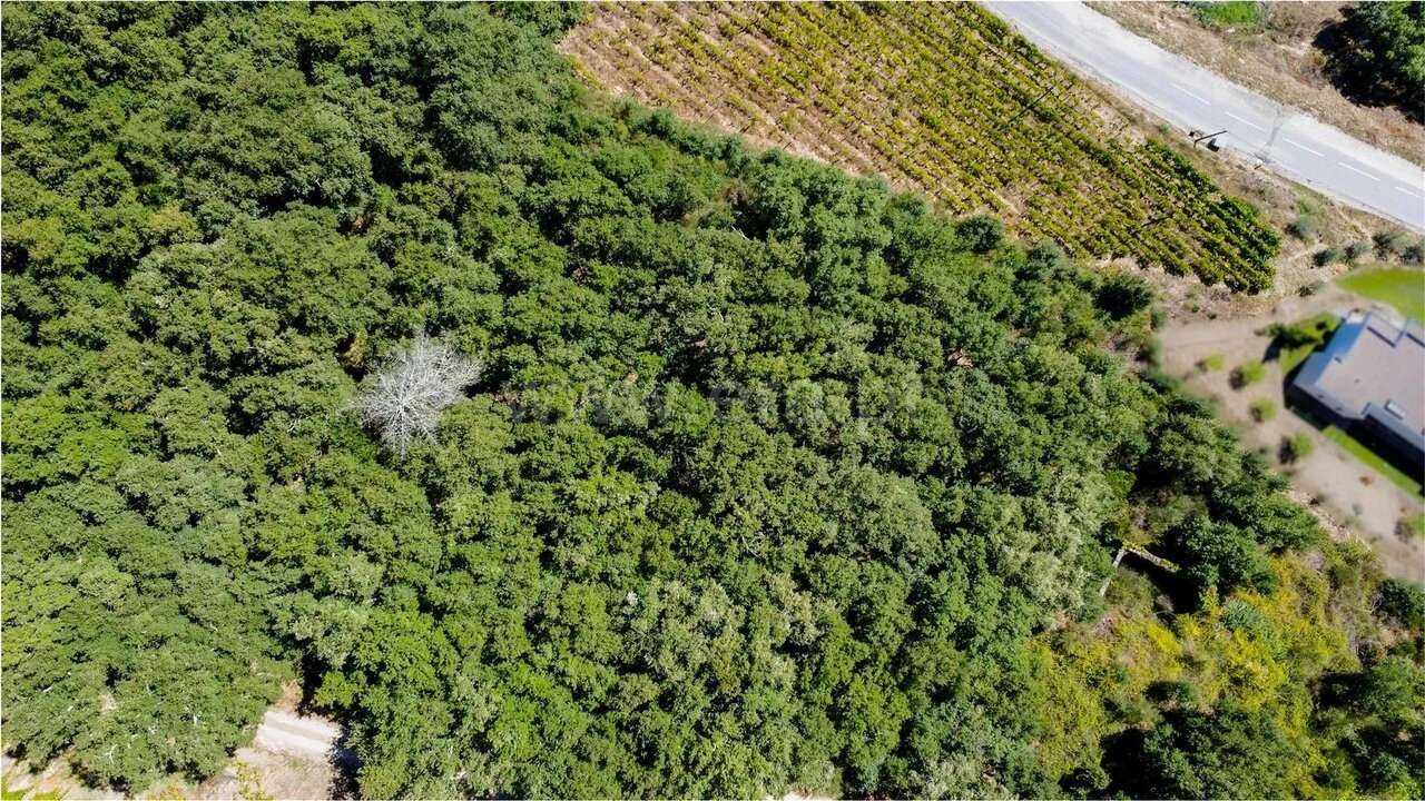 Quinta T0 para Venda em Santa Marinha do Zezere Foto 2