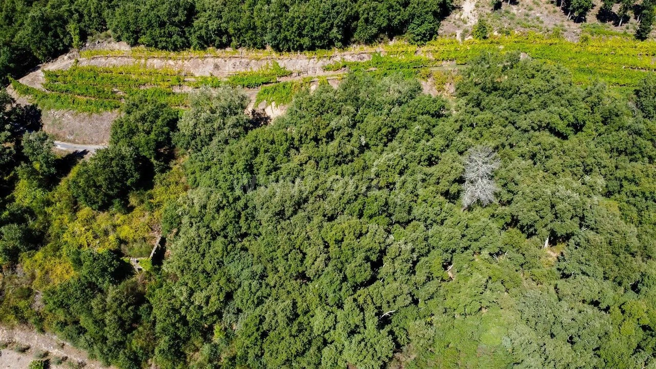 Quinta T0 para Venda em Santa Marinha do Zezere Foto 4