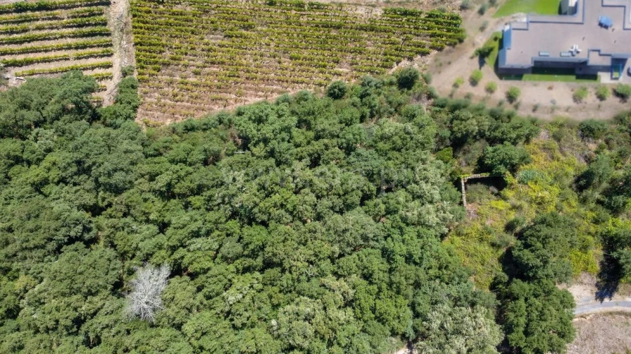 Quinta T0 para Venda em Santa Marinha do Zezere
