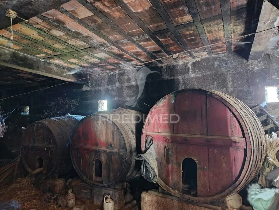 Quinta T6 para Venda em Andrães Foto 12