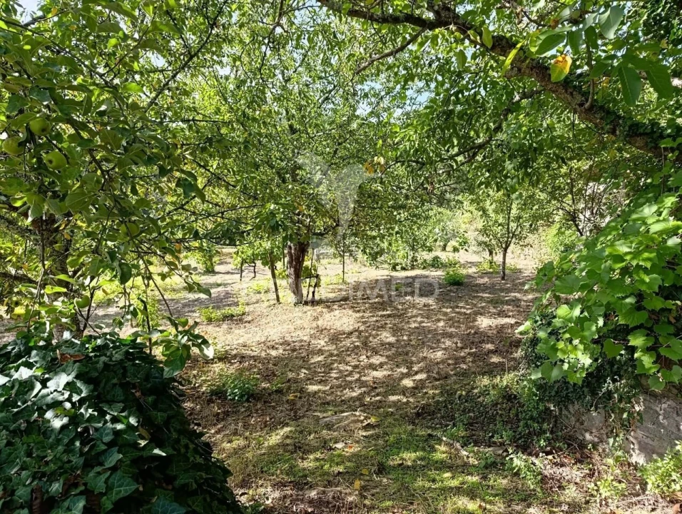 Quinta T6 para Venda em Andrães Foto 30