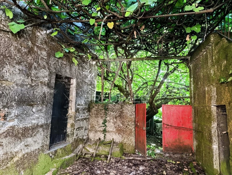 Quinta T6 para Venda em Andrães Foto 11