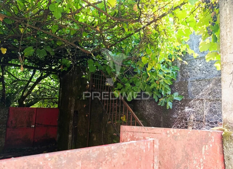 Quinta T6 para Venda em Andrães Foto 14