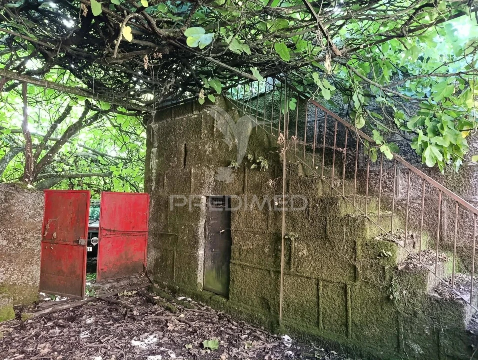 Quinta T6 para Venda em Andrães Foto 13