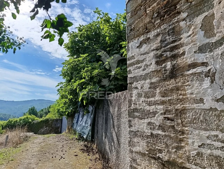 Quinta T6 para Venda em Andrães Foto 28
