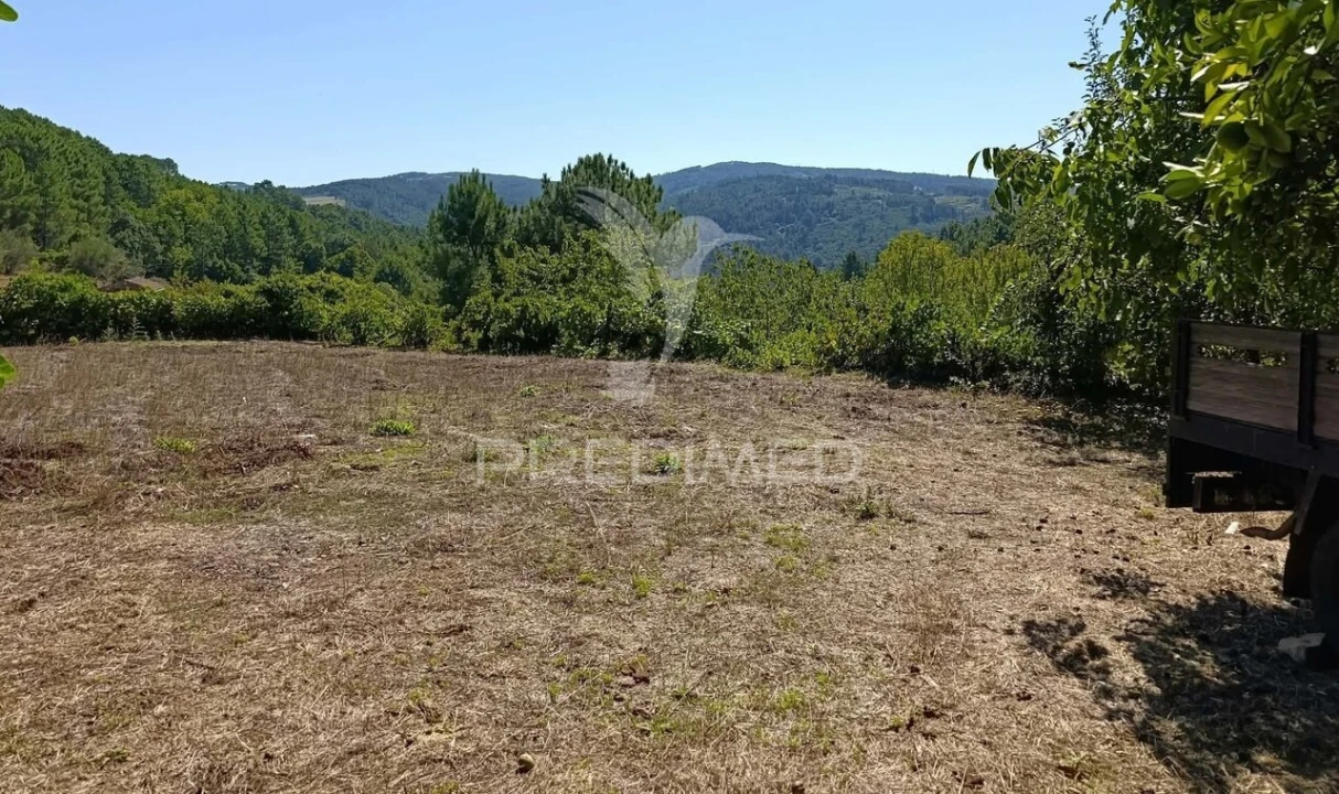 Quinta T6 para Venda em Andrães Foto 29