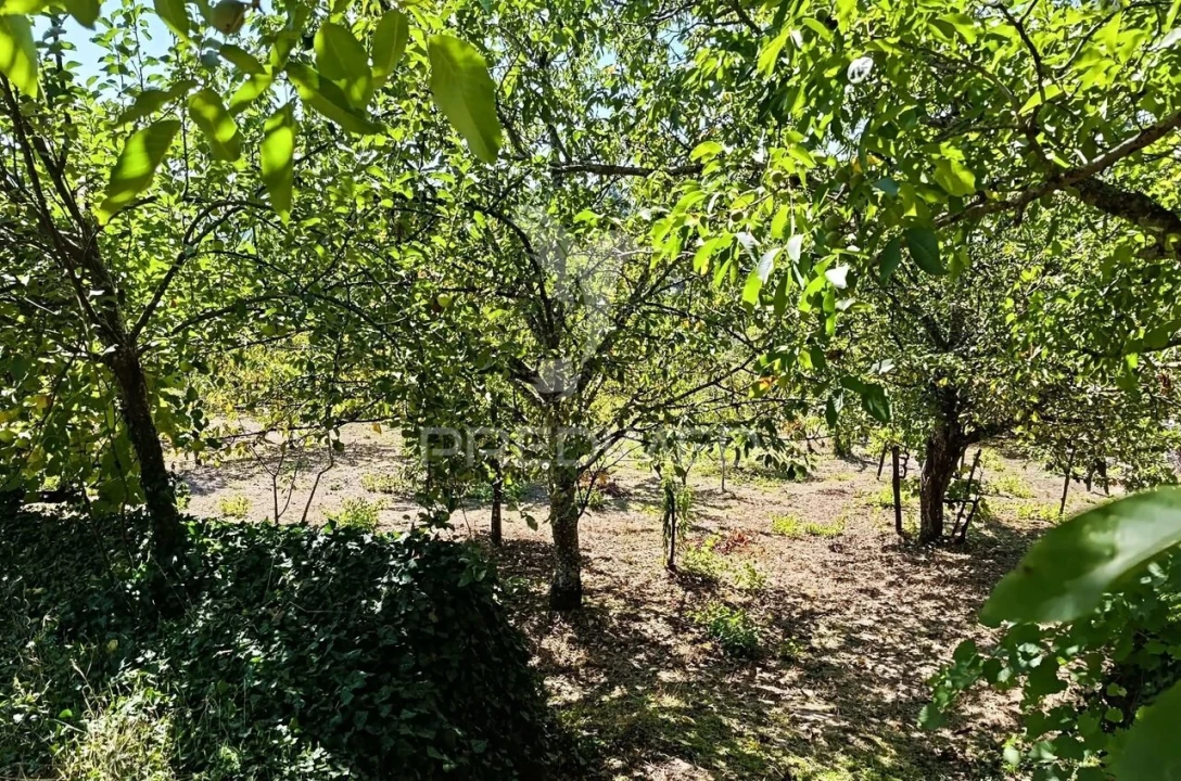 Quinta T6 para Venda em Andrães Foto 27