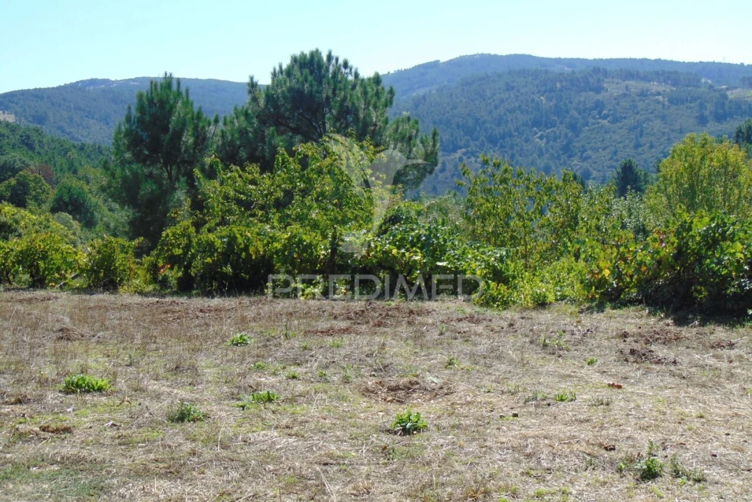Quinta T6 para Venda em Andrães Foto 28