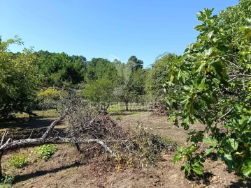 Quinta T6 para Venda em Andrães