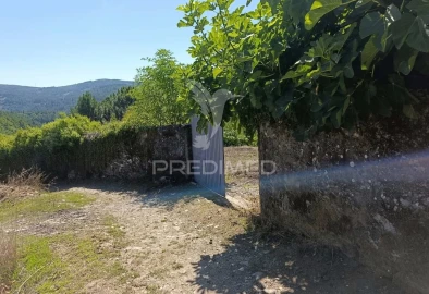 Quinta T6 para Venda em Andrães