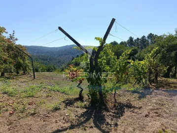 Quinta T6 para Venda em Andrães