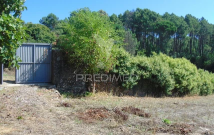 Quinta T6 para Venda em Andrães