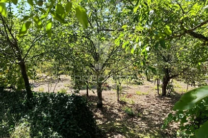 Quinta T6 para Venda em Andrães