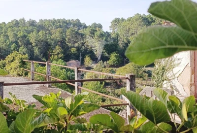 Quinta T6 para Venda em Andrães