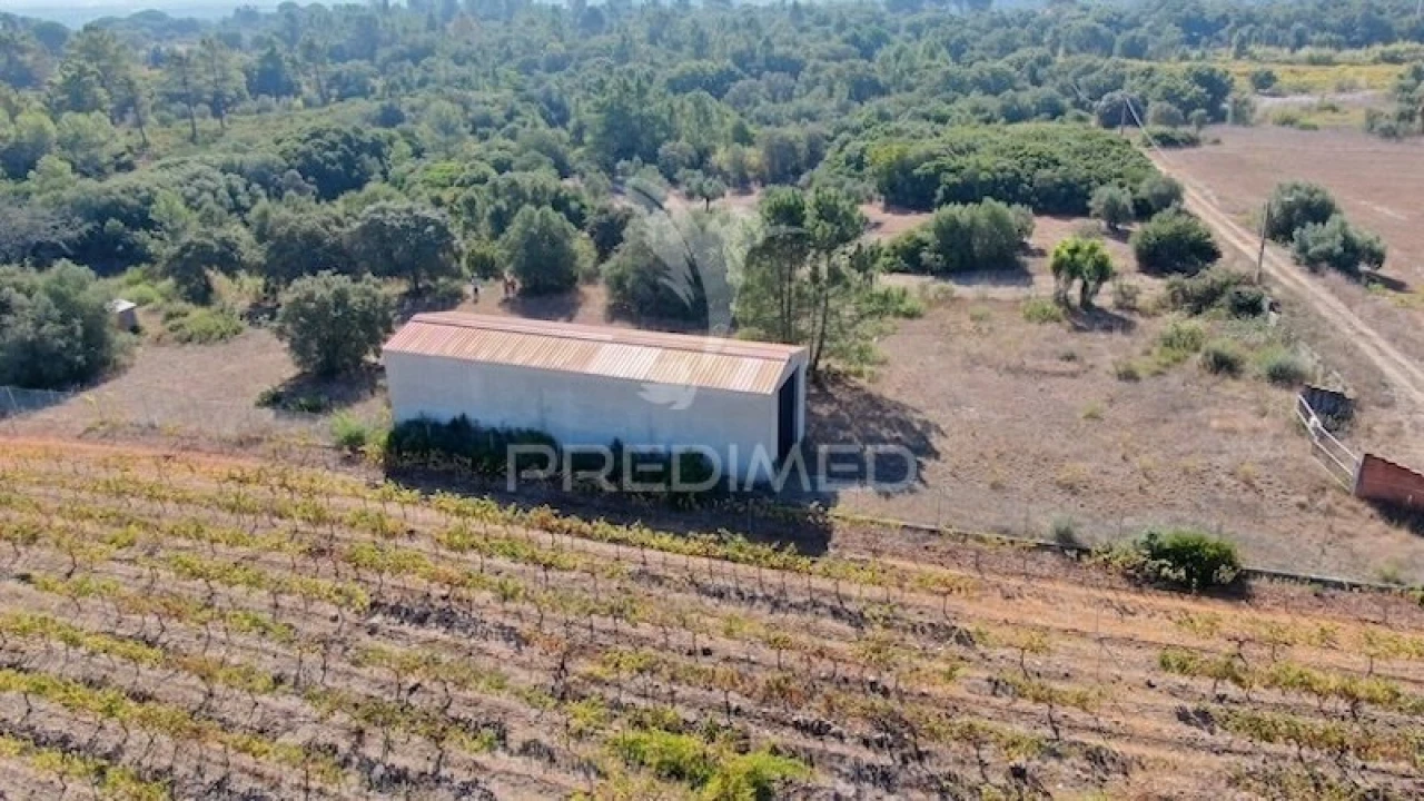 Terreno para Venda em Almoster Foto 13