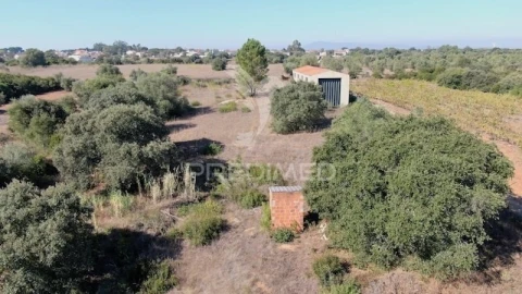 Terreno para Venda em Almoster
