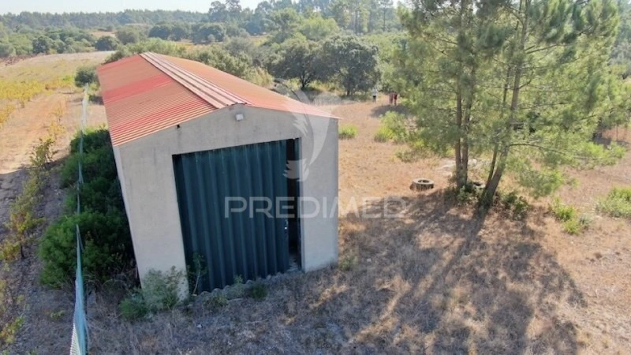 Terreno para Venda em Almoster Foto 10