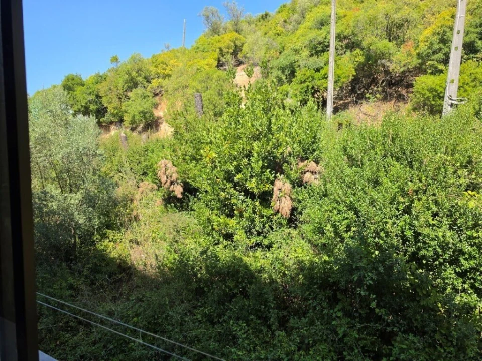 Apartamento T3 para Venda em Leiria, Pousos, Barreira e Cortes Foto 18