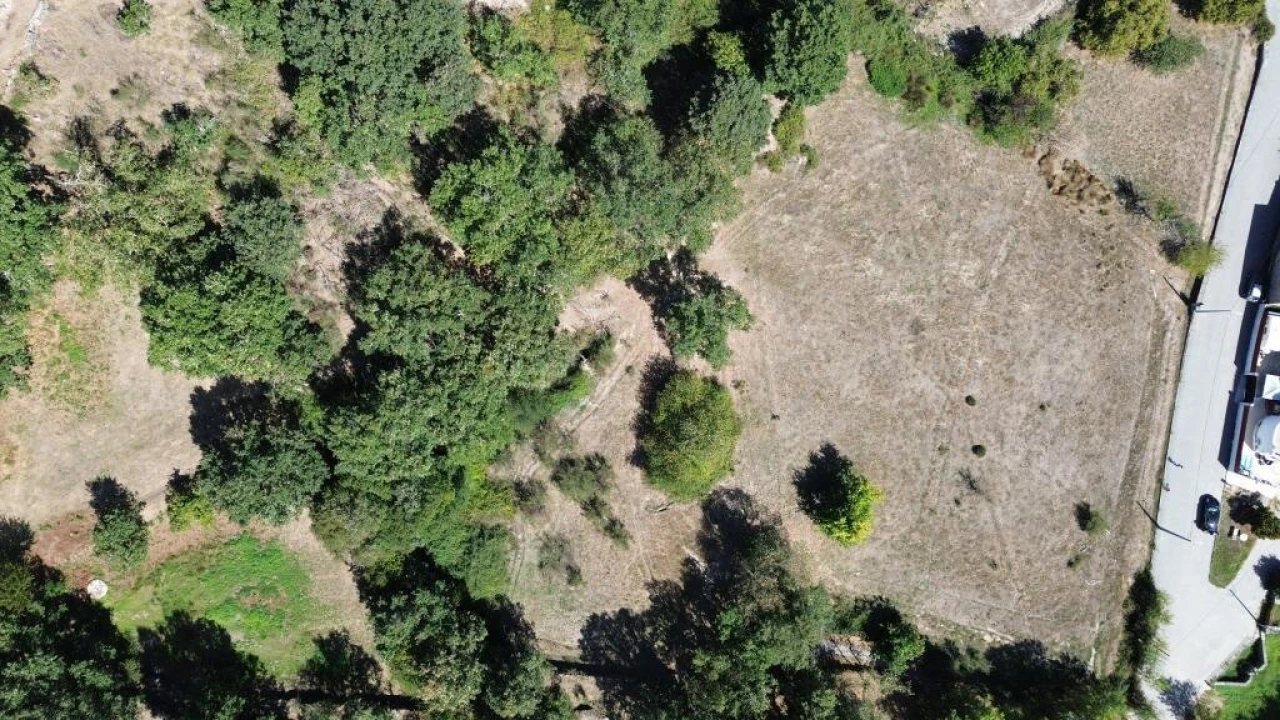 Terreno para Venda em Guarda Foto 3