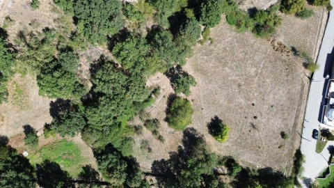 Terreno para Venda em Guarda