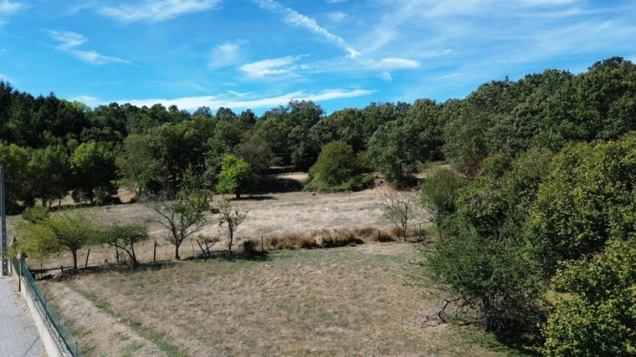 Terreno para Venda em Guarda Foto 4